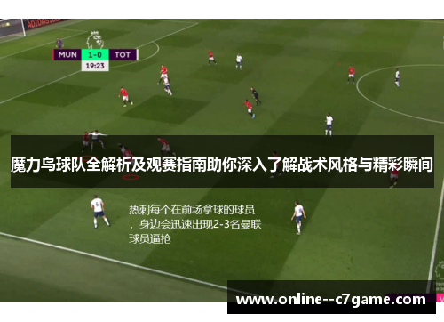 魔力鸟球队全解析及观赛指南助你深入了解战术风格与精彩瞬间 魔力鸟球队全解析及观赛指南助你深入了解战术风格与精彩瞬间