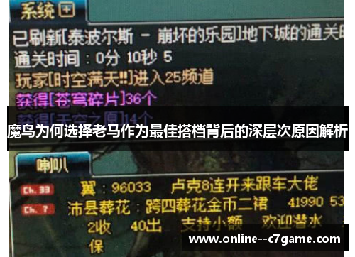 魔鸟为何选择老马作为最佳搭档背后的深层次原因解析 魔鸟为何选择老马作为最佳搭档背后的深层次原因解析